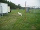 Thumbs/tn_Tohrn western event 066.jpg
